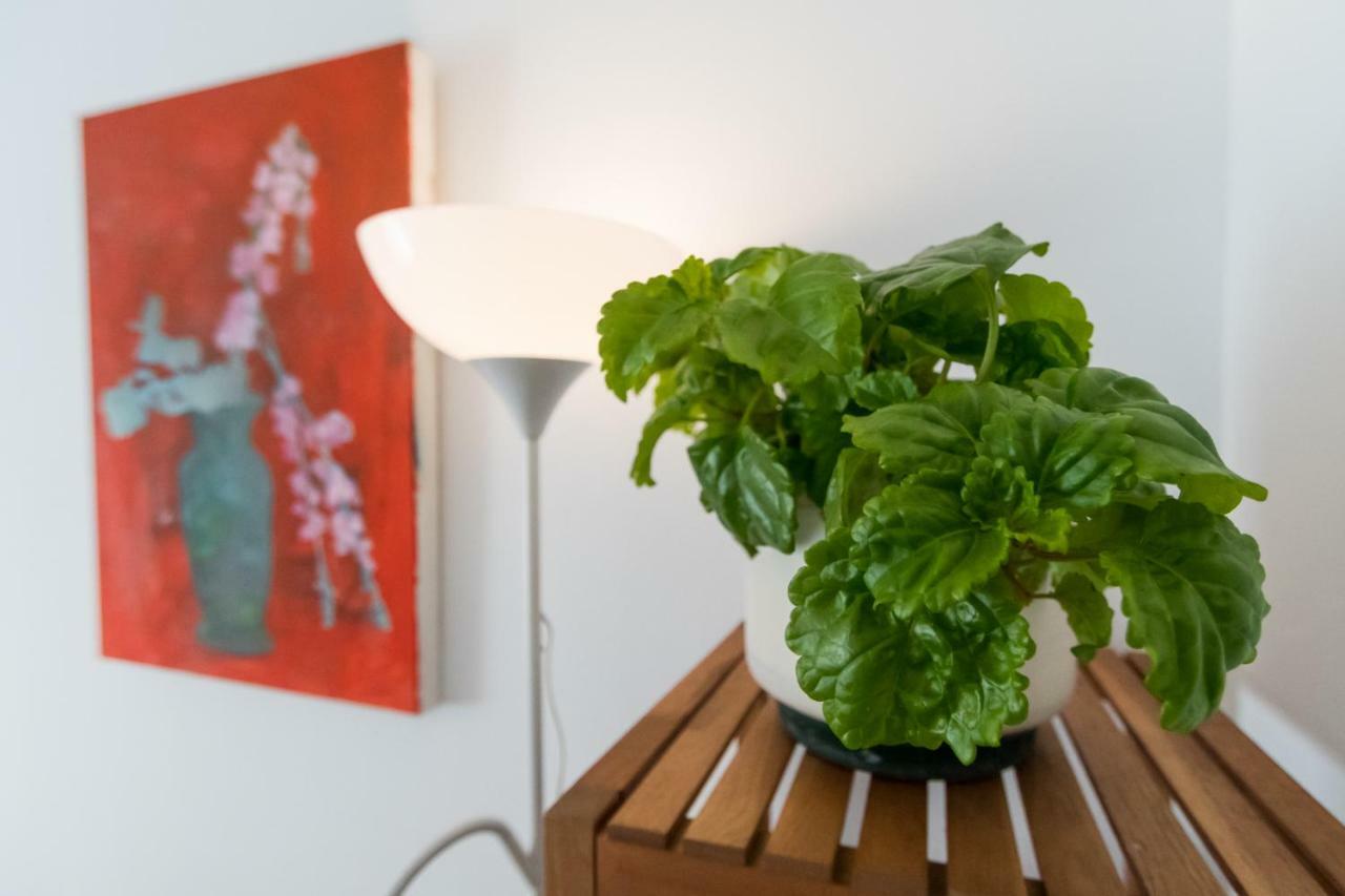 Apartamento La Galeria De San Antonio 카디스 외부 사진